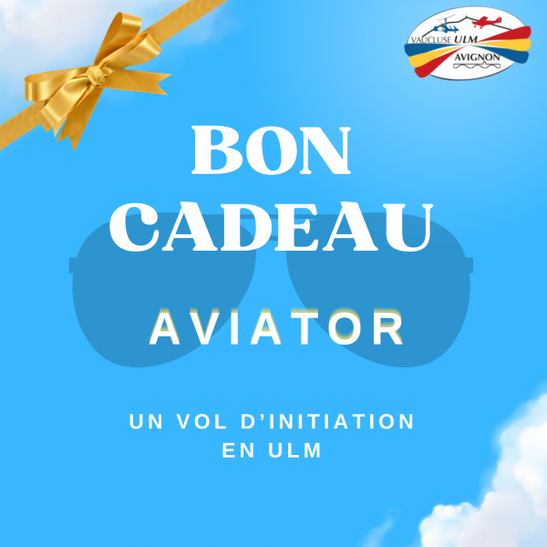 Bon Cadeau - Vol Initiation Aviator